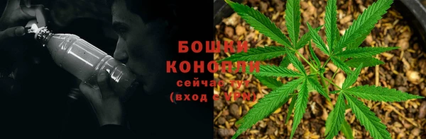 дурь Инсар