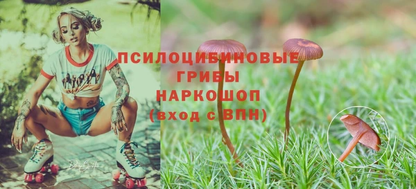 кокс Инта
