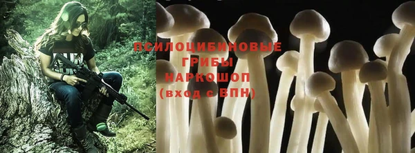а пвп мука Иннополис