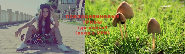 кокс Инта