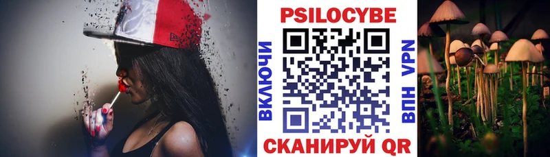 Купить где  Мглин  Псилоцибиновые грибы Cubensis 